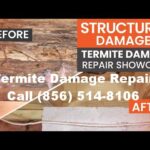 Termite Repair Services in Pennsville