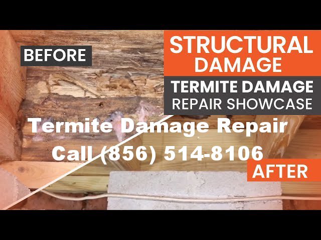 Termite Repair Services in Pennsville